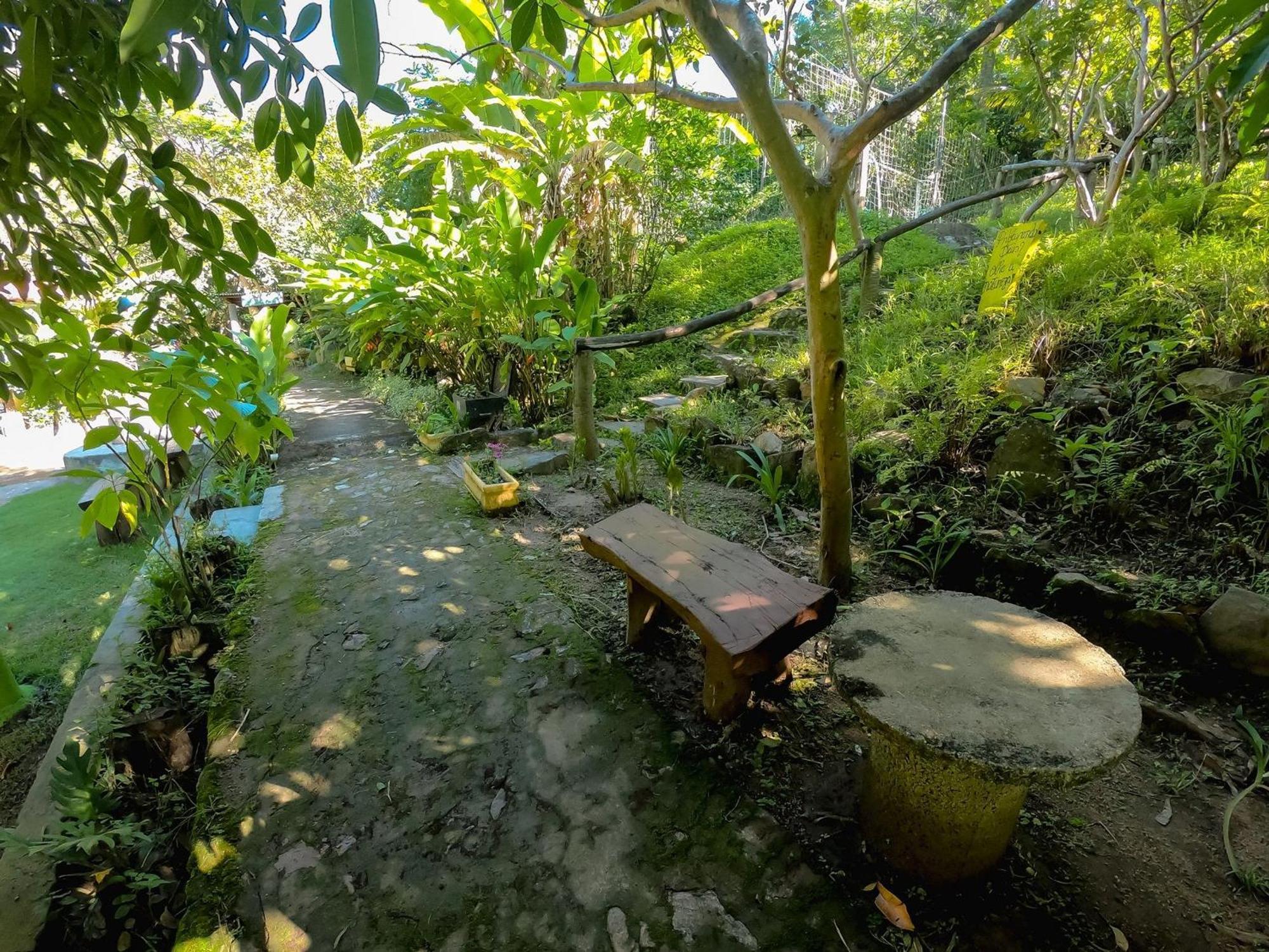 Saíra Recanto de Serra Mulungu  Exterior foto